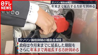 【ガソリン補助金制度】年末まで延長する方針を固める