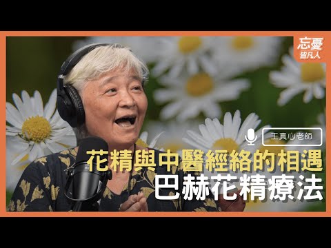 花精與中醫經絡的相遇 feat.王真心老師 ｜EP.110 忘憂皆凡人 Podcast