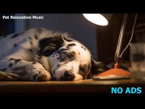 Music To Sleep In 5 Minutes 🐶💤 Relaxing Music For Dogs To Relax And De-stress Them