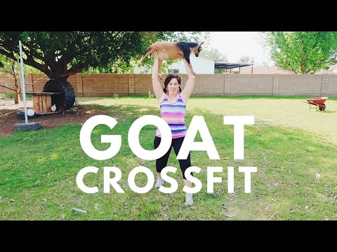 GOAT CROSSFIT is the new craze