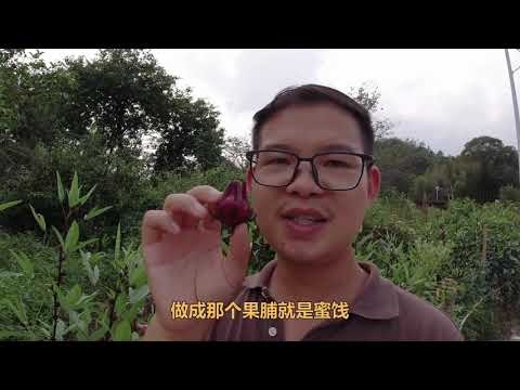 十几年前风靡一时，现在重新出现在大众面前，它就是红桃K