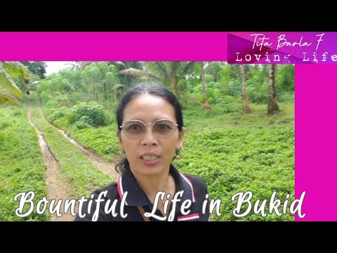 255 Bountiful Life in Bukid #farming  #farmlife  #bounty #familyvlog #farmer