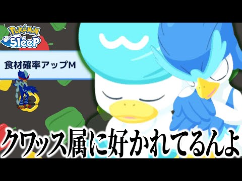 コメント大荒れするくらいのウェルカモとクワッス登場にブチギレ【ポケモンスリープ】