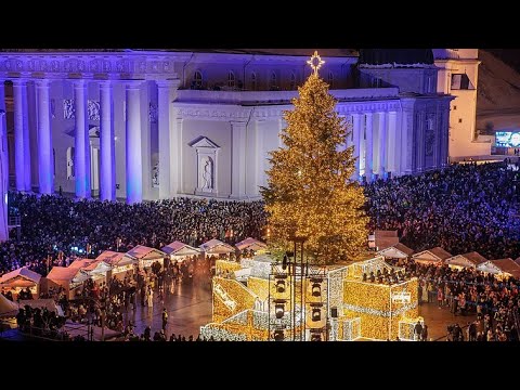 🎄 2023 - 2024 Vilniaus Kalėdų Eglės Įžiebimas Katedros Aikštėje 🇱🇹   | Vilnius Christmas Tree