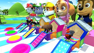 Paw Patrol game: Death race and rescue Godzilla, Dinosaurs, Cows | Paw patrol 3D Animation