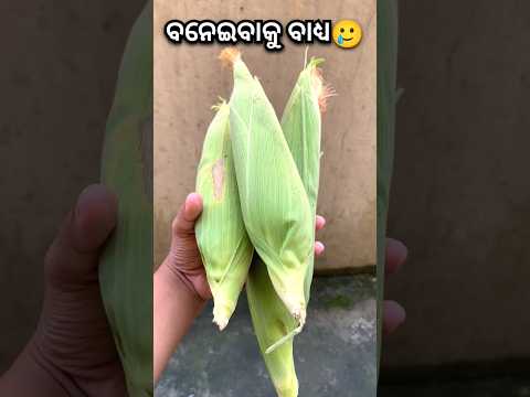 🔥ଛି ! ଶେଷ ରେ ମୁର୍ଖ ଡ଼ାକିଲେ😭 #shorts #viralvideo #food #recipe