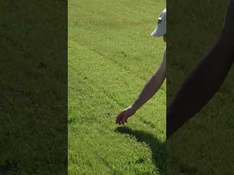 How We Test Lawn Mower Side Discharge Mode #shorts