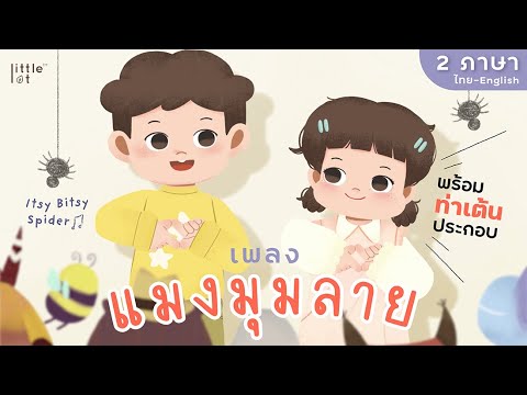 เพลงแมงมุมลาย พร้อมท่าเต้นประกอบ | 2 ภาษา | Itsy Bitsy Spider Fingerplay by LittleLot | เพลงเด็ก