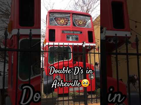 Cash Only!! Double D’s in Asheville #bday #roadtrip #vlog