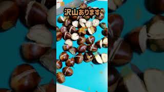 🌰栗の季節🌰ですね