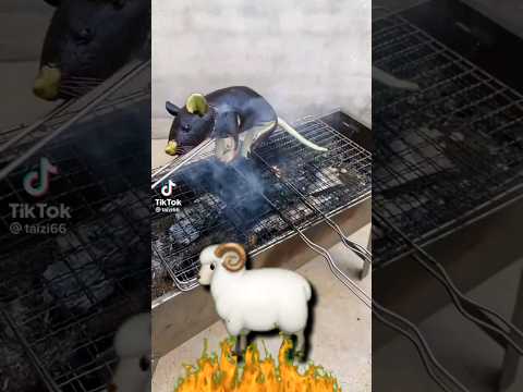 Funny Vegitables  Food Roasting in a Animal shape so funny