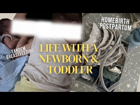 Life with a newborn, toddler, & 2 pups | tandem breastfeeding, homebirth postpartum