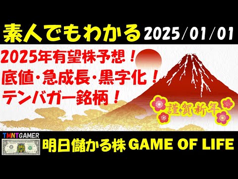 【明日のテンバガー株・高配当株】2025年大化け銘柄予想！底値・急成長・黒字化・テンバガー銘柄紹介！【20250101】