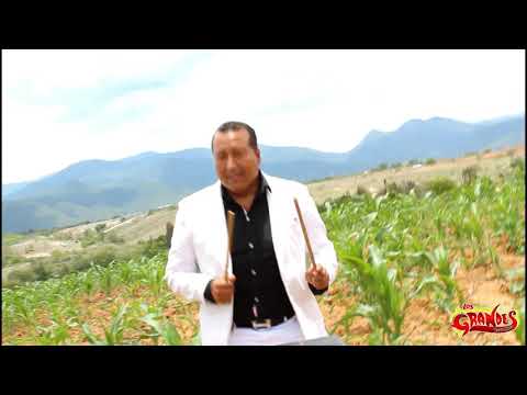 El Fandango Alegre- Los Grandes de Oaxaca