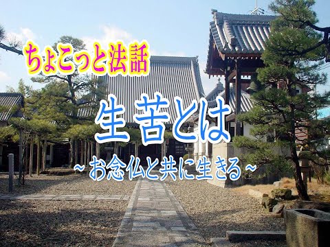 ちょこっと法話「生苦とは～お念仏と共に生きる～」