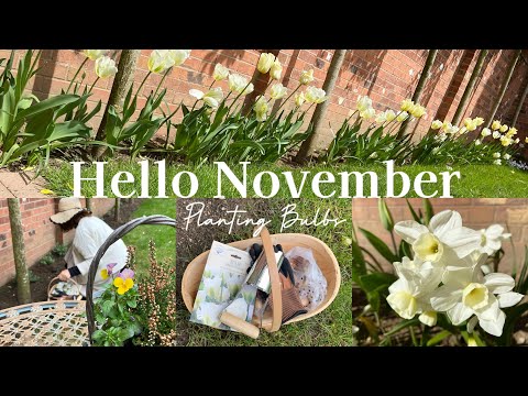 Autumn Gardening | Planting Bulbs | Enjoying Autumn Colours in a Japanese Garden