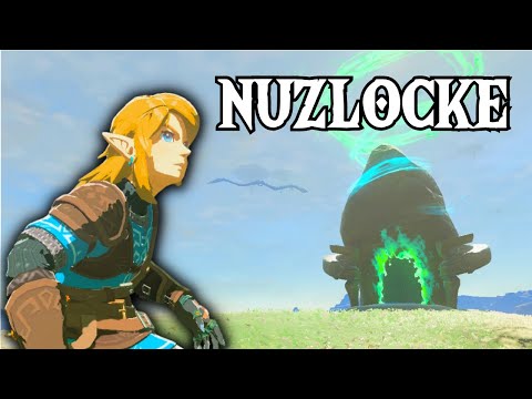 What If There Was A Zelda Nuzlocke?