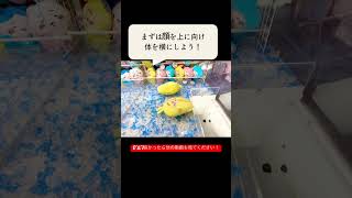 ちいかわ　寝袋ぬいぐるみ　プライズ　確率無視でゲットする方法！　ハチワレ、うさぎでも使えるテクニック！　これでライバルに差をつけろ！！！