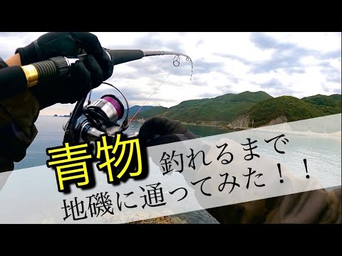 【ショアジギング】青物釣れるまで地磯に通ってみた！！