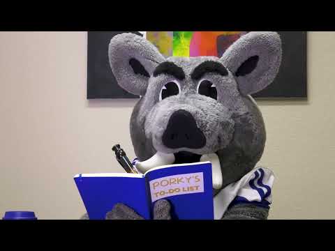 Javelina Day of Giving: Porky's Day