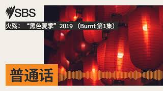 火殇：“黑色夏季”2019 （Burnt 第1集） | SBS Mandarin - SBS 普通话电台