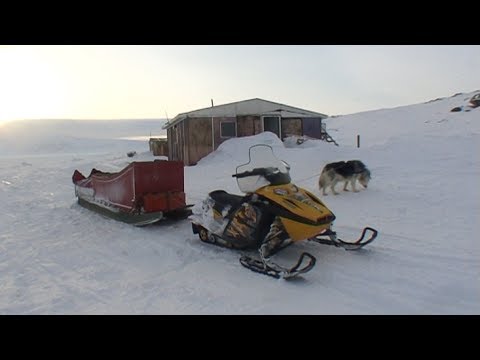 The expedition sleds on the Inuit sled - Sam Ford Fiord 2010 expedition