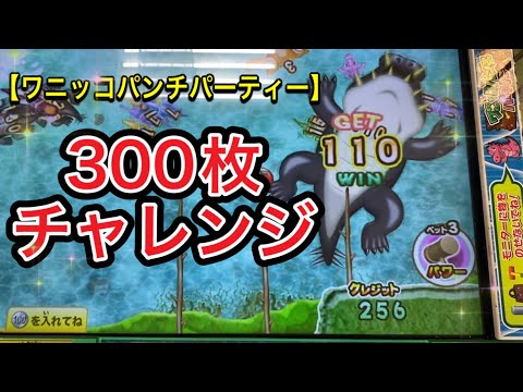 【ワニッコパンチパーティー】300枚チャレンジ！！3ベットと10ベットでやってみたらまさかの結果。