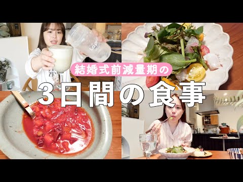 【結婚式前】減量期の3日間の食事を動画撮ってみました！【まあまあ食べてる】