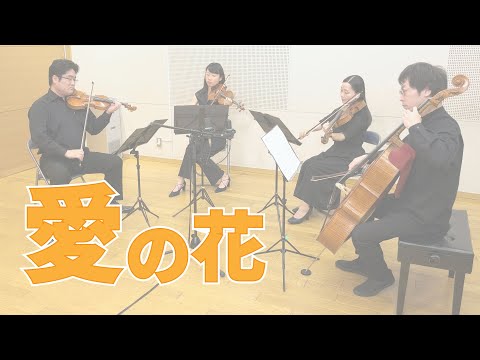 【愛の花】Ainohana（あいみょん）：弦楽四重奏版：NHK連続テレビ小説 「らんまん」主題歌