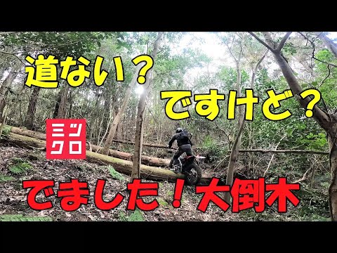 道ない？ですけど？