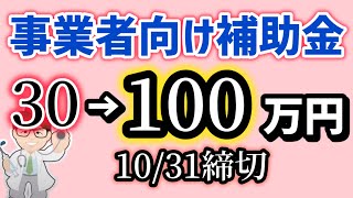 事業者向け補助金・最大１００万円・申請は10月31日まで（2024年度最終回）エイジフレンドリー補助金【中小企業診断士YouTuber マキノヤ先生】第1899回