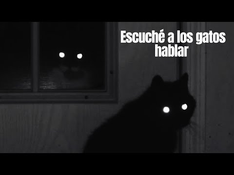 Escuché a los gatos hablar.