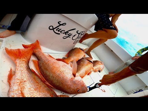 SIX MAN SNAPPER LIMIT IN 9 MIN! UNCUT FOOTAGE