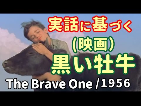 闘牛場に送られた牛と少年の感動物語・7分ムービー「黒い牡牛」1956アカデミー原案賞作品