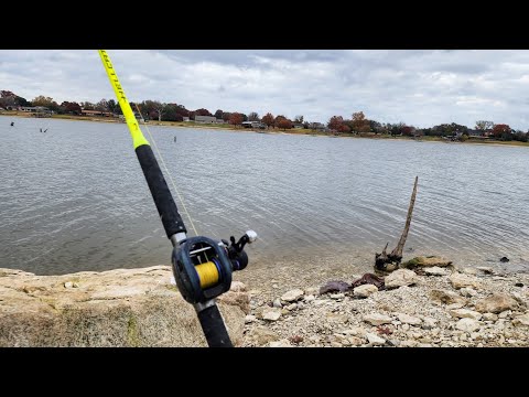 I Almost Caught The LAKE RECORD!! (Bank Fishing)