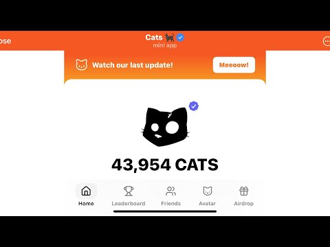 Cats Airdrop 7x Received Bitget | Cats Update Airdrop