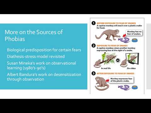 Module 12 - Anxiety and Mood Disorders Recording