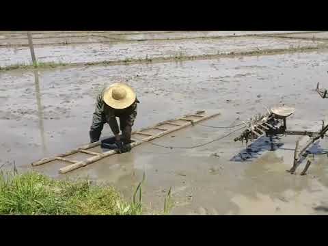 Working status of the externally mounted single-wheel paddy field tillage machine