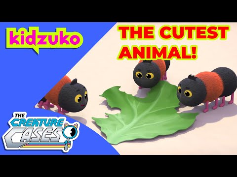 @CreatureCases - 🥹🥰 The Cutest Animal EVER! 🥰🥹 | Best Bits! | @Kidzuko