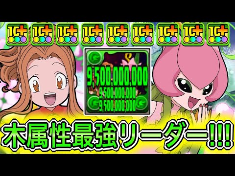 【最強】新凶兆ボス2パン！？ 新キャラの『太刀川ミミ&リリモン』が木属性の希望すぎてやばい！！！！ 【パズドラ デジモン コラボ 太刀川ミミ&パルモン】