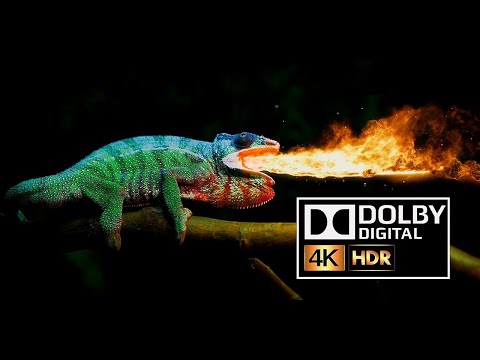 Dolby Atmos Test video Chameleon 4k ULTRA HD HDR 10BIT [ HD ]