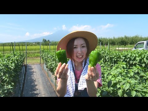 「Fresh Vegetable」旬の青森県産ピーマンを紹介♪