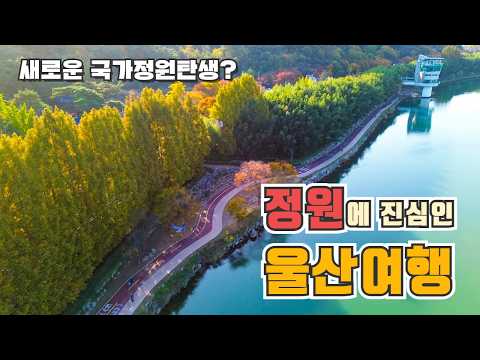 울산의 새로운 가을 명소의 탄생 태화강 그라스 정원  울산 당일치기 여행  가을꽃내음정원 풀꽃강정원 태화강전망대 태화강동굴피아 울산 남구 여행