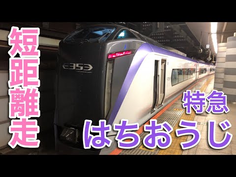 【短距離特急】お盆の特急はちおうじに乗ってみた（東京→八王子）