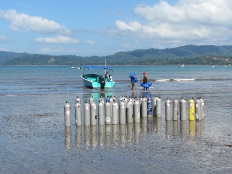 Diving Cano Island, Drakes Bay Wildlife and Corcovado National park