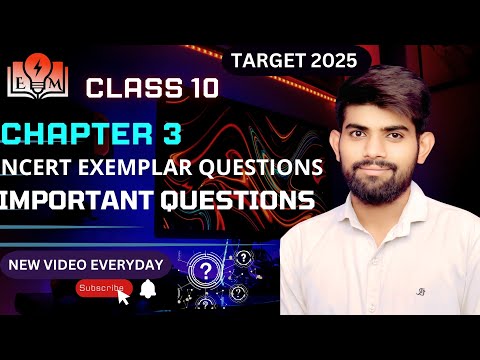 NCERT Exemplar Class 10 Maths Ch - 3 | Linear Equation in 2 Variable | Board 2024 - 25