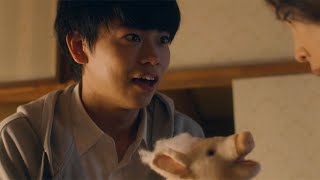 菅生新樹、葵わかなら主演　秦基博の新曲「イカロス」から生まれた映画「イカロス 片羽の街」予告編