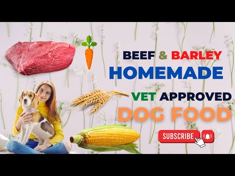 Beef and Barley Homemade vet approved easy to cook Human grade dog food | blogsbyibrar