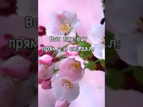 Доброго весеннего утра! Улыбайтесь чаще!!)))