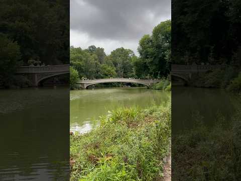 Picturesque view of Bow Bridge and the Lake in Central Park, New York City! #travel #nyc